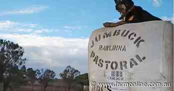 Australia's largest sheep station sold to one of the nation's cattle giants