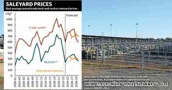 More price rises tipped for lamb market amid supply crunch, global demand