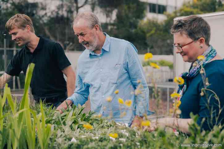 Arts precinct garden research take landscape and ecology design to new levels