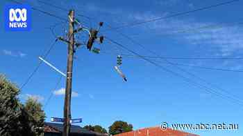 Pole-top fires cut power to 40,000 Perth homes after drizzly rain