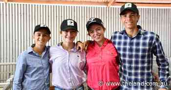 See who was among the gallery at Deepdale Dorpers' autumn ram sale