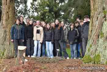 STEM-leerlingen bouwen huisjes voor Kabouterpad in het Leen
