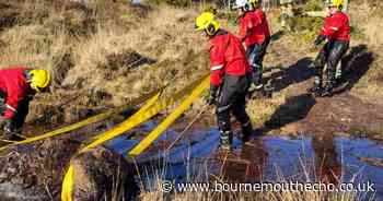 Pony rescued from marshland by firefighters