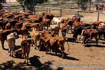 Models to help make the informed calls