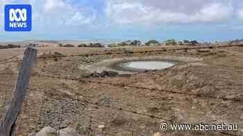 Emergency water intervention as Adelaide Hills and Fleurieu run dry