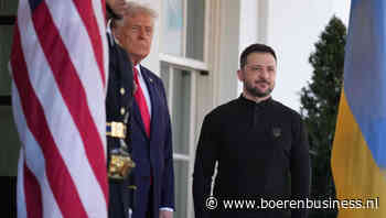 Ruzie in het witte huis zorgt voor hogere gasprijs