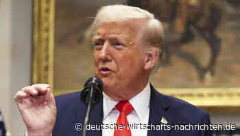 Ukraine-Hilfe: Trump-Regierung setzt Militärhilfe für die Ukraine aus