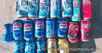 Cans from Korea and Panama found on Dorset beach