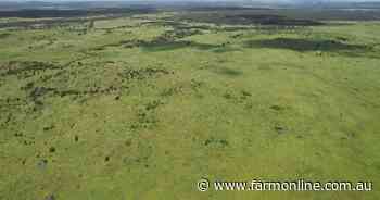 Productive cattle operation suited to breeding, fattening, backgrounding
