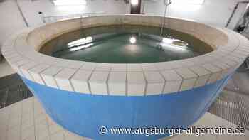 In Landsberg steht das Wasser eine Woche lang im Blickpunkt