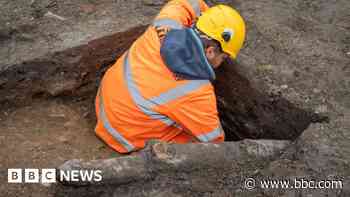 City's surviving Civil War stake defences revealed