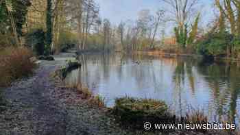 Lichaam van zestiger gevonden in vijver in Neerglabbeek