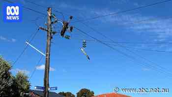 Thousands of Perth homes still without power after drizzly rain ignites pole-top fires