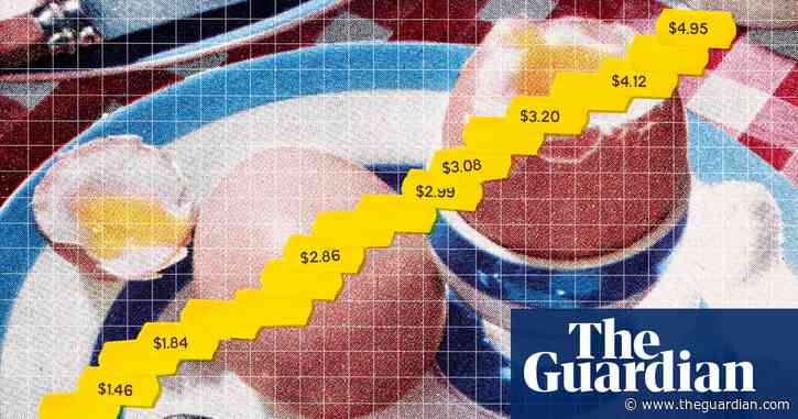 $5 a dozen: major egg companies may be using avian flu to hike US prices, new report finds