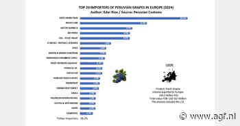 Top-20 Europese importeurs Peruaanse druiven