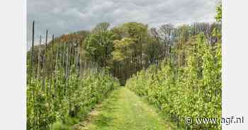"Vroeg leeg met bio-peren door moeilijk groeizoen"