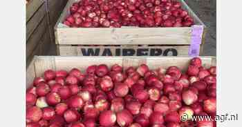 "Het is nog vroeg, maar de exportmarkt appelen is positief"
