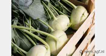 Consumptiedaling in Europa baart Italiaanse groentenexporteur zorgen