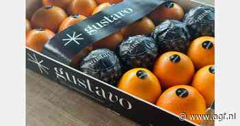 "Er zit toekomst in sinaasappelexport naar Midden-Oosten en Midden-Amerika"