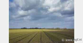 "Focus niet te veel op stikstof, maar kies voor het bredere perspectief"