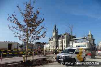 Daar is het eerste groen op nieuwe Grote Markt: “Vernieuwd marktplein wordt gevierd met openingsfeest op 30 en 31 augustus”