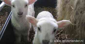 Hallo lente! Stuur jouw mooiste foto's in