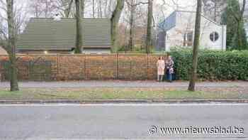 Betonplaten Hoogboomsteenweg tot op de draad versleten: “Alleen oplapwerken vlak voor wielerwedstrijden”