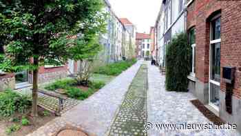 Buurtparlement en mARTa slaan handen in elkaar voor vergroening Heihoek