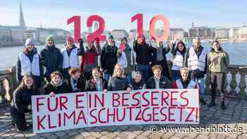 Volksentscheid: Im Herbst stimmen Hamburger über Klimaschutz ab