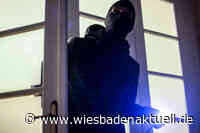 Mehrere Hütten in Gartenanlage aufgebrochen