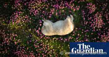 Nature Photography Contest 2024 winners and finalists – in pictures