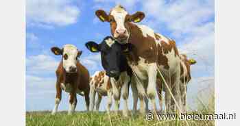 "Ik ben geen op-en-top boerin, maar help mee"