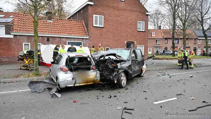 Man raasde door rood en reed fietser dood, ook in hoger beroep 9 jaar cel