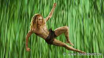 Musical-Star Alexander Klaws: Als Tarzan zurück nach Hamburg?