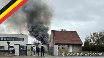 Brand legt tuinhuis volledig in de as in Rekem