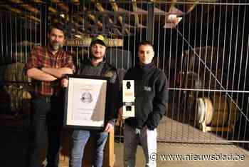 Eerste Pajotse whisky haalt meteen zilver op internationale wedstrijd: “Dit is echt een droom voor ons”