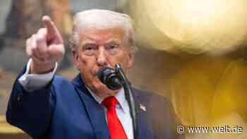 „Trump sieh Zölle nicht nur als Wirtschaftsinstrument, sondern auch als Strafaktion“