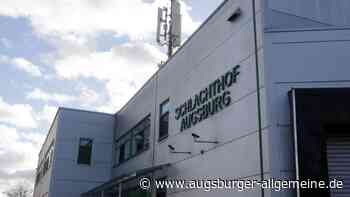 Augsburger Schlachthof investiert in neue Betäubungsanlage für Schweine