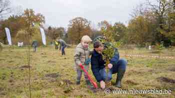 Natuurpunt plant laatste gedeelte Princebos in Turnhout aan