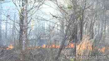 Miss. firefighter dies after falling from fire truck