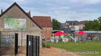Kunstenaars gezocht voor kunstmarkt in Den Hof van Aline