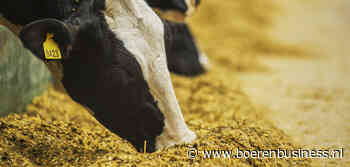 Bijproducten vriendelijker geprijsd voor veehouder