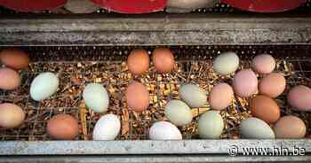 Eieren nooit zo duur
