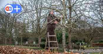 Friedhöfe in Kiel: Stadt erhöht Kosten für Beerdigungen