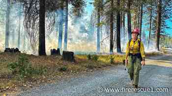 Federal female FFs' cancer coverage at risk after Trump administration deletes information