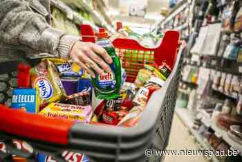 Celstraf voor dievenbende die met volle winkelkarren aan de haal ging