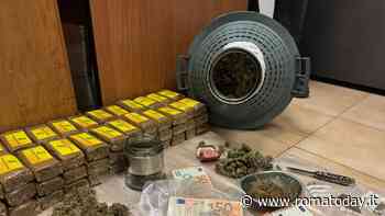 Hashish e marijuana al posto del vino. La droga nascosta nelle damigiane in cantina