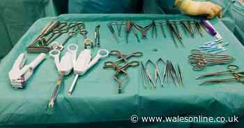 Mum who made 'last-minute' Turkey surgery decision died from mystery illness