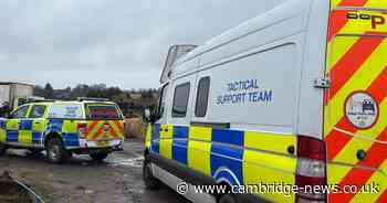 More arrests as boy is 'voluntarily interviewed' over mass disorder