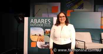 $10/kg or $13/kg? Where wool prices could go in coming years and why